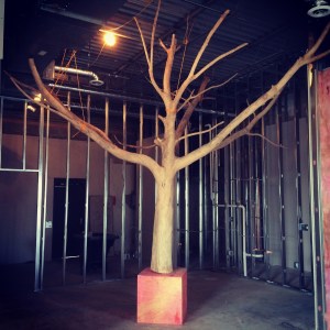 tree instagram