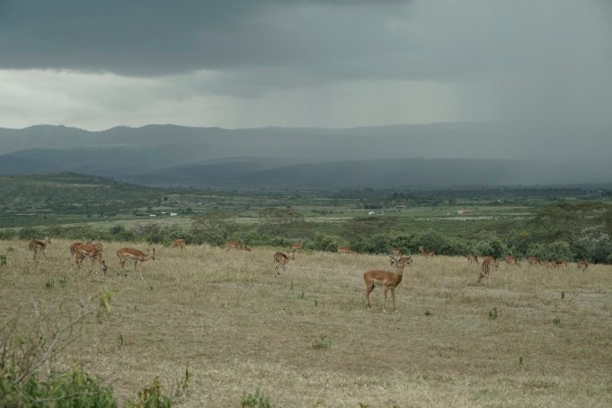 A storm came in while in the sanctuary.