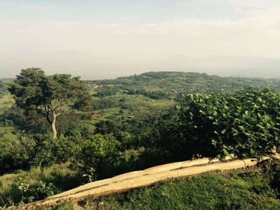 Typical View from road to Eldoret. That is mist in the BG not smog.