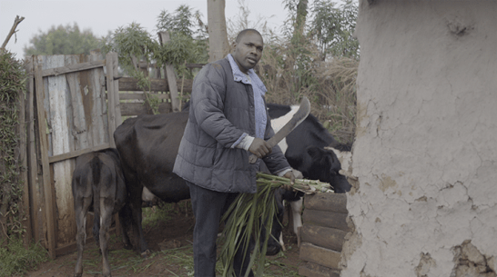 Father, played by Benson, chopping grass for the cows.